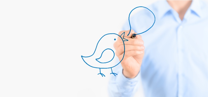 follow-us-on-social