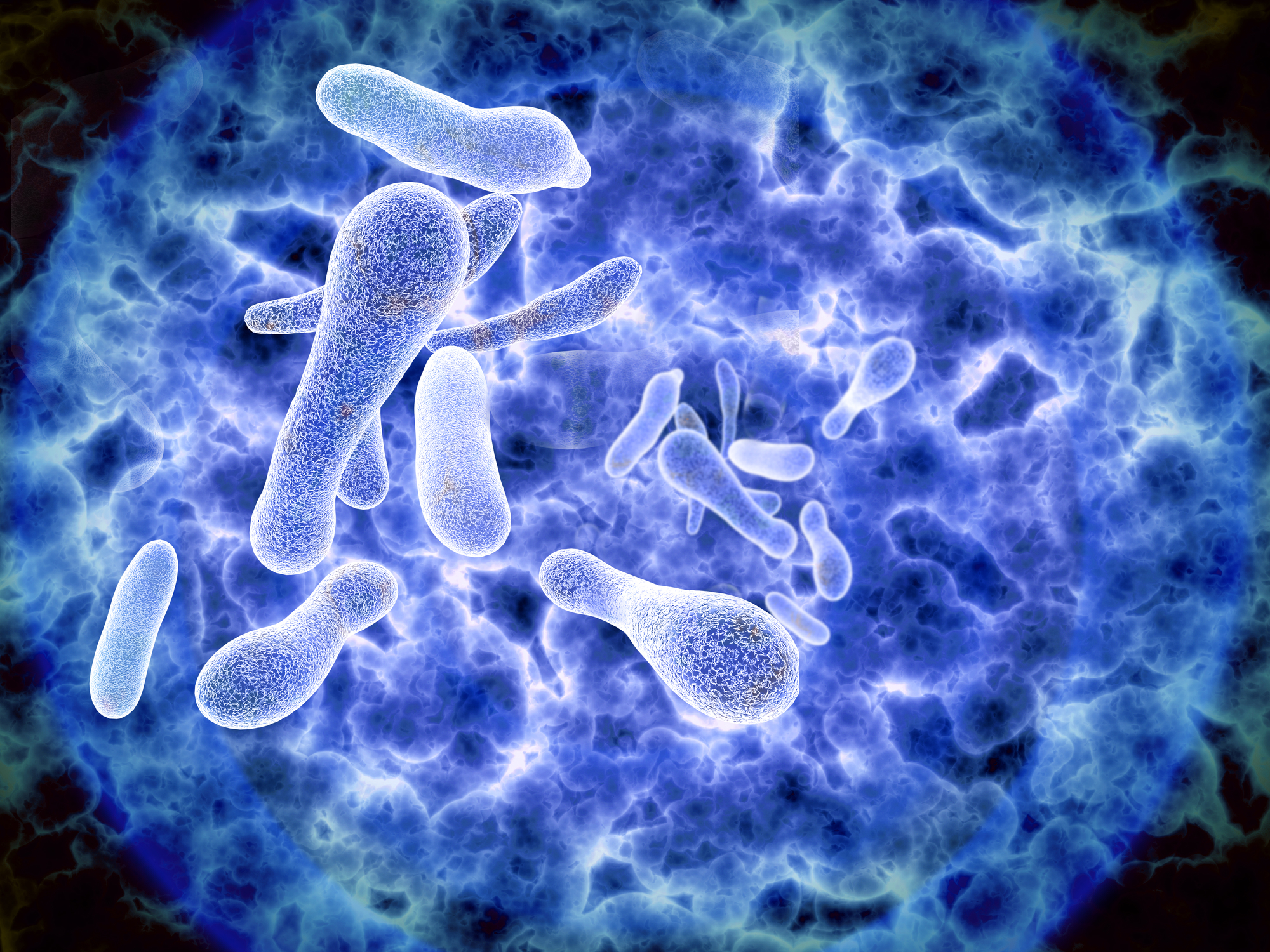 legionella-bacteria