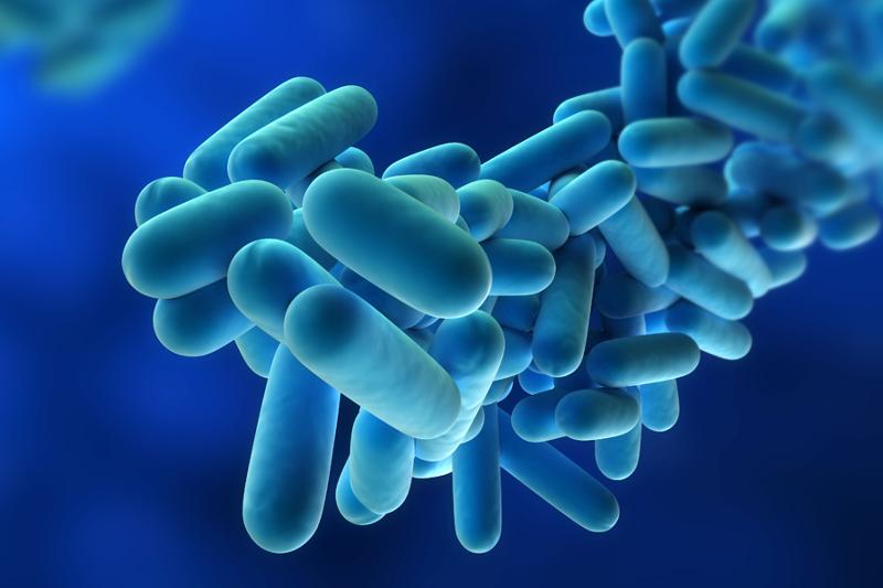 Legionnaire's Disease