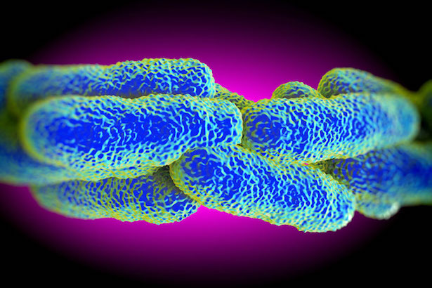 Legionella Risk Assessment Legionella Risk Assessment