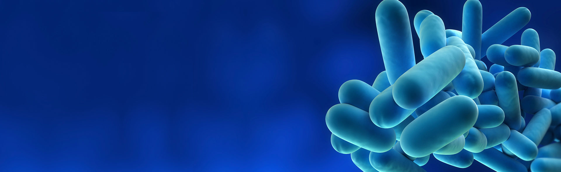 Legionella bacteria hero