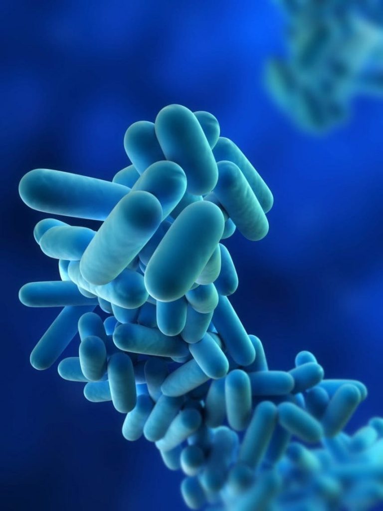 Why choose water hygiene services why choose water hygiene services