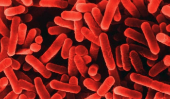 Royal Navy Legionella