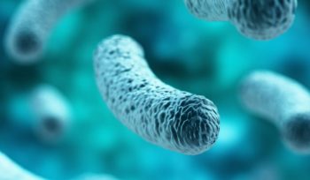 Legionella Advice for GP Practices