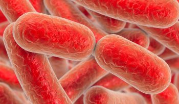 Understanding and Managing Legionella Risks: A Comprehensive Guide